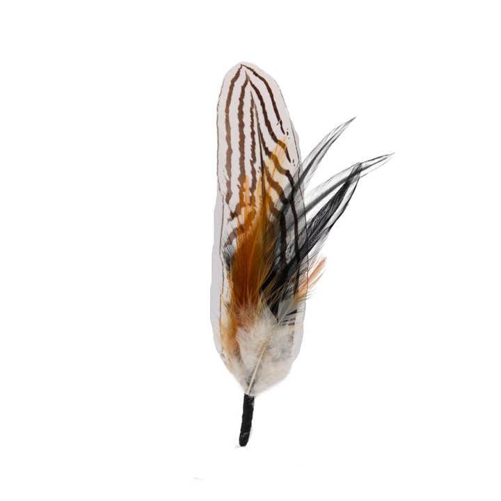 Willow Lane Hat Co. – Engroshandel Hattetilbehør - Dame – Fjer Hat Accent - Zebra