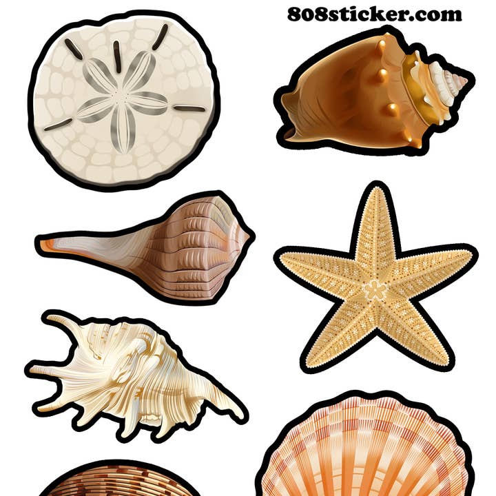 Folha de Autocolantes de Conchas da Florida - Conjunto de 10 folhas de autocolantes por atacado de Aurora Stickers