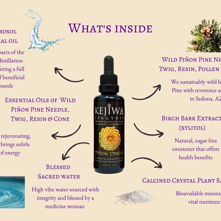 Kejiwa - Wholesale Tincture - Piñon Pineal Spagyria: Pine Herbal Tincture