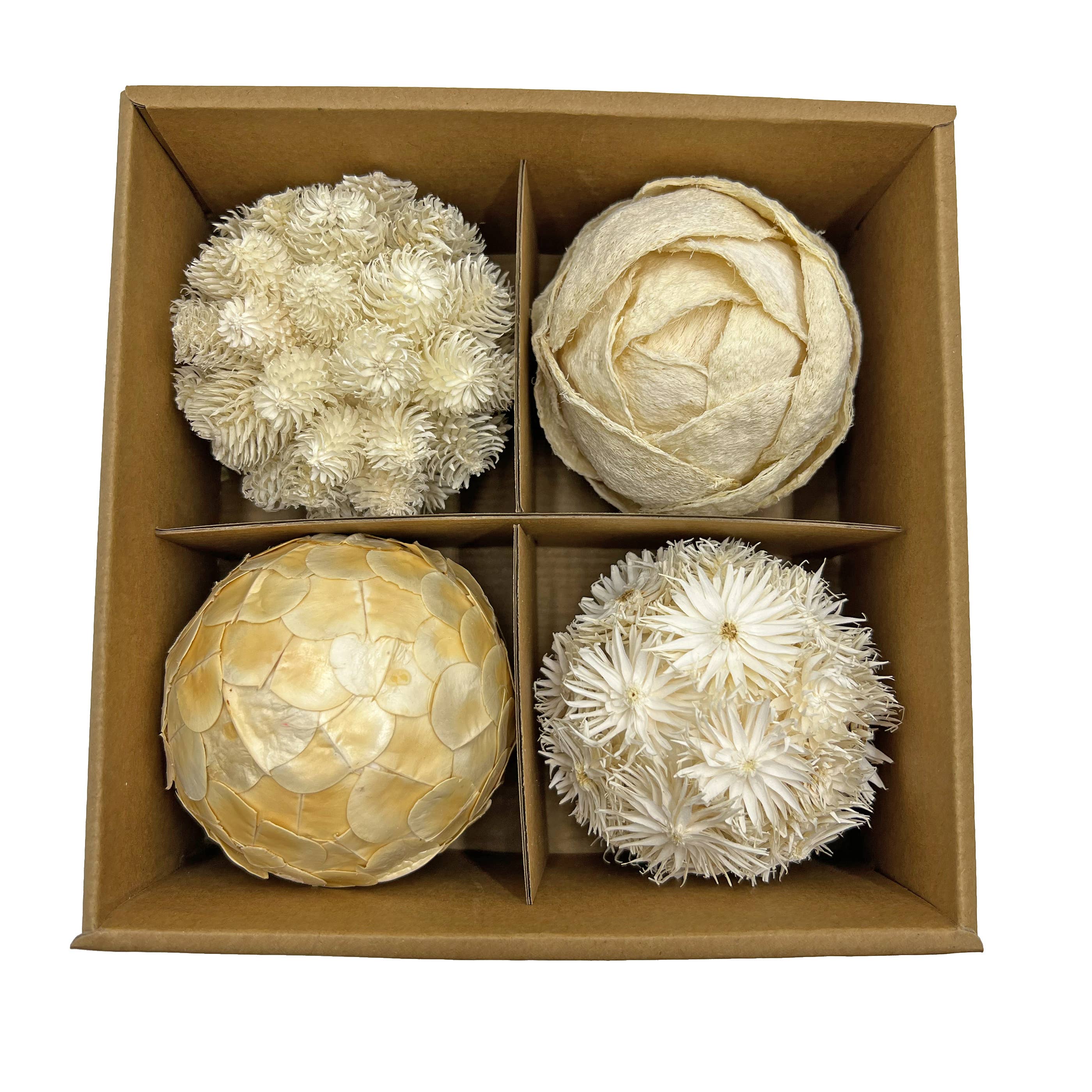 2626 Designs – wholesale Konstgjord växt – Låda med 4 konserverade dekorativa barrträd Pinecone Topiary Bollar9