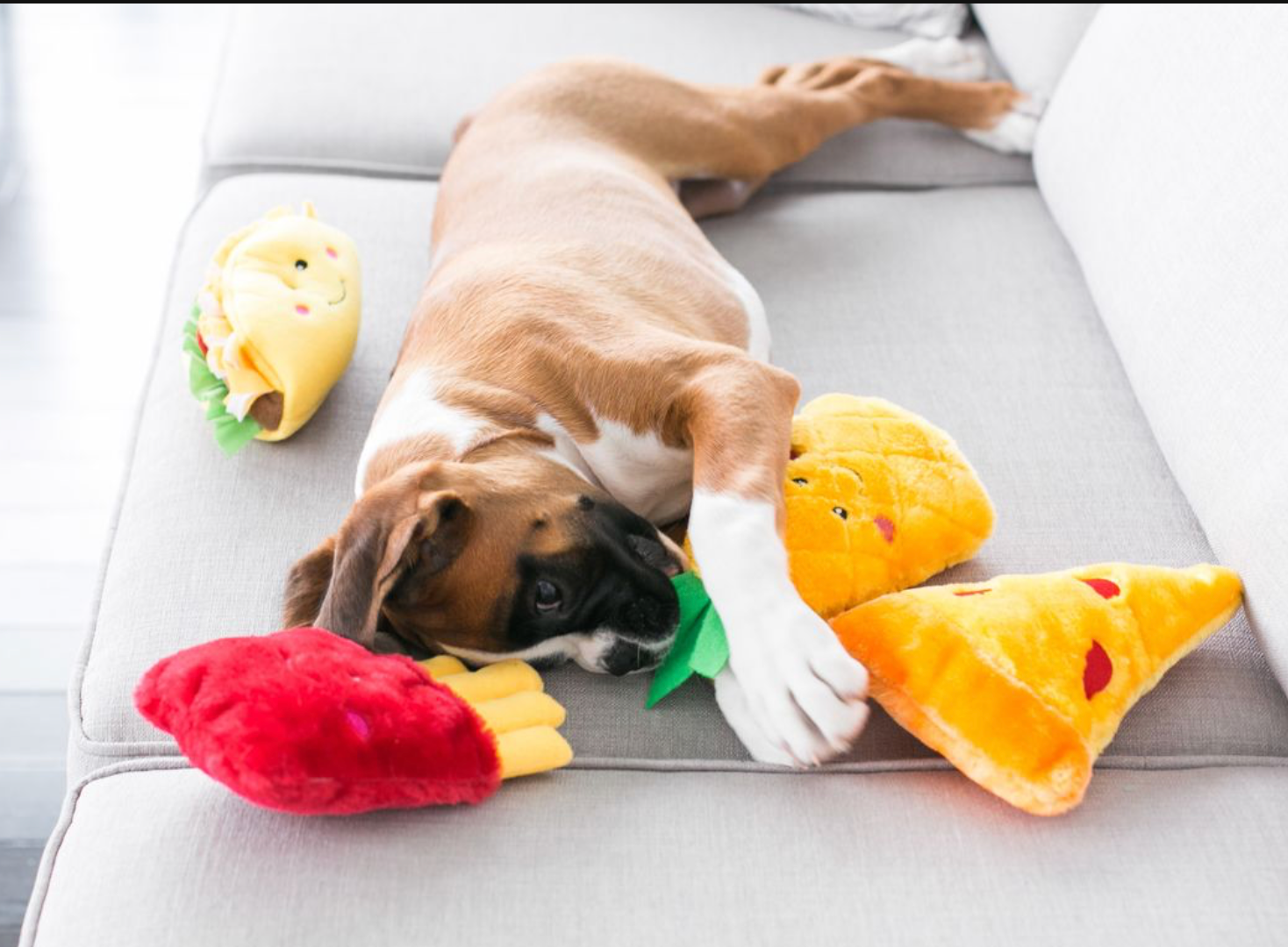 ZippyPaws – wholesale Mjukisdjur - Hund – NomNomz® pizza hundleksak7