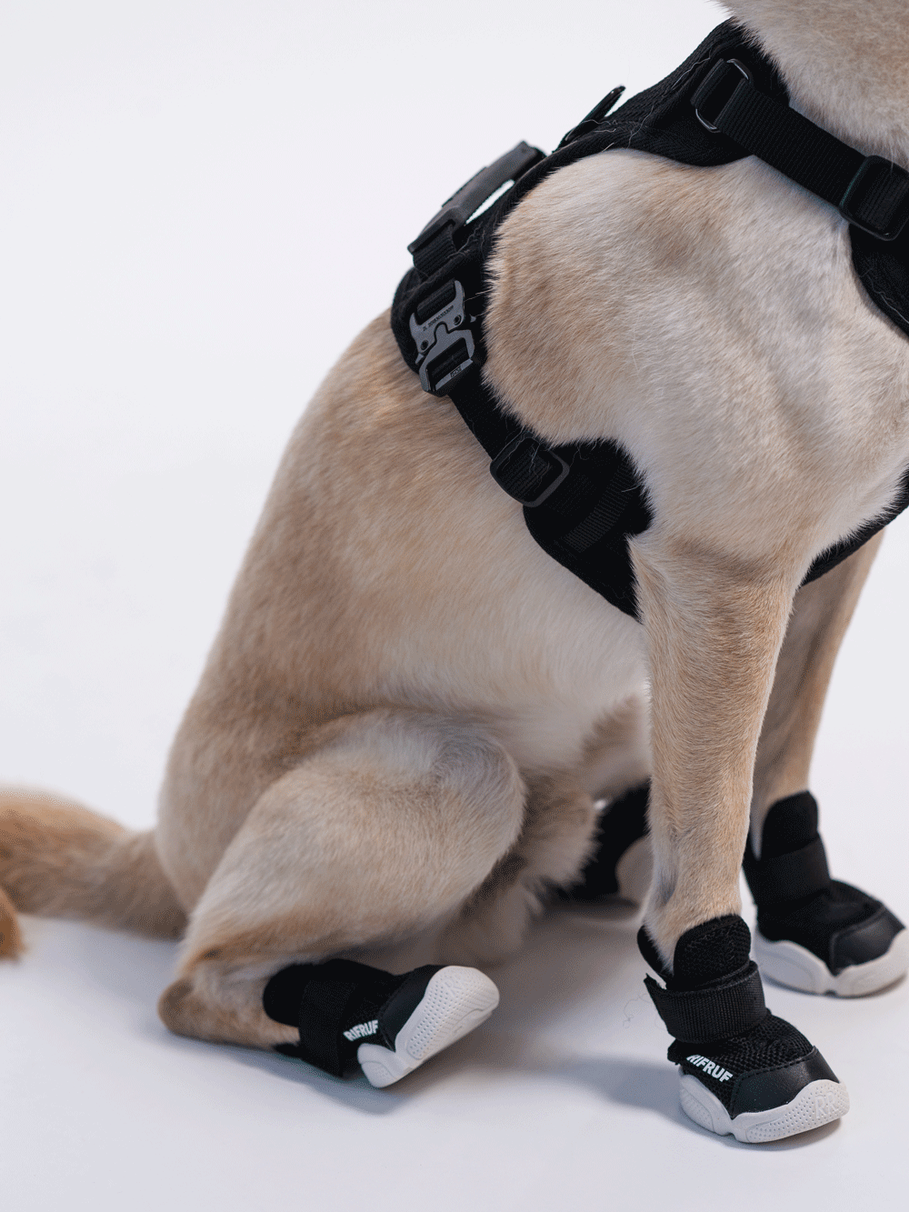 RIFRUF - Vente Bottines – chien - César 12