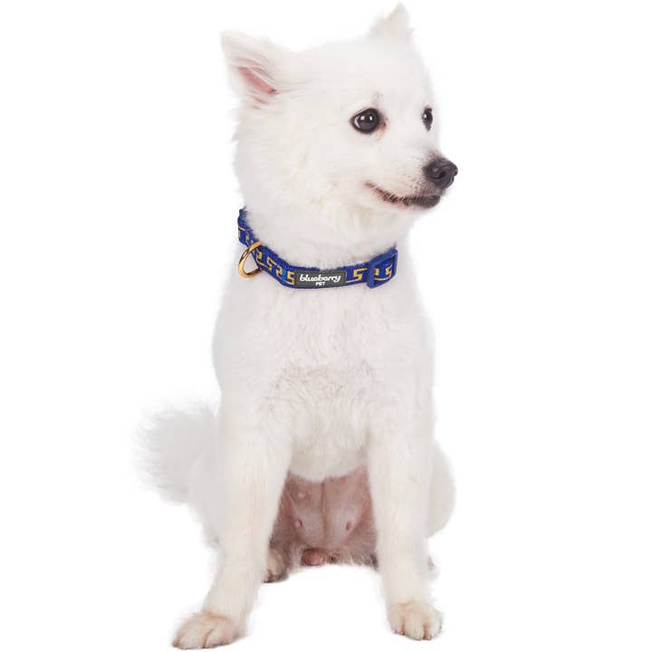 Blueberry Pet - Wholesale Pet collar – Dog - Geometric Designer Metallic Thread Dog Collar6