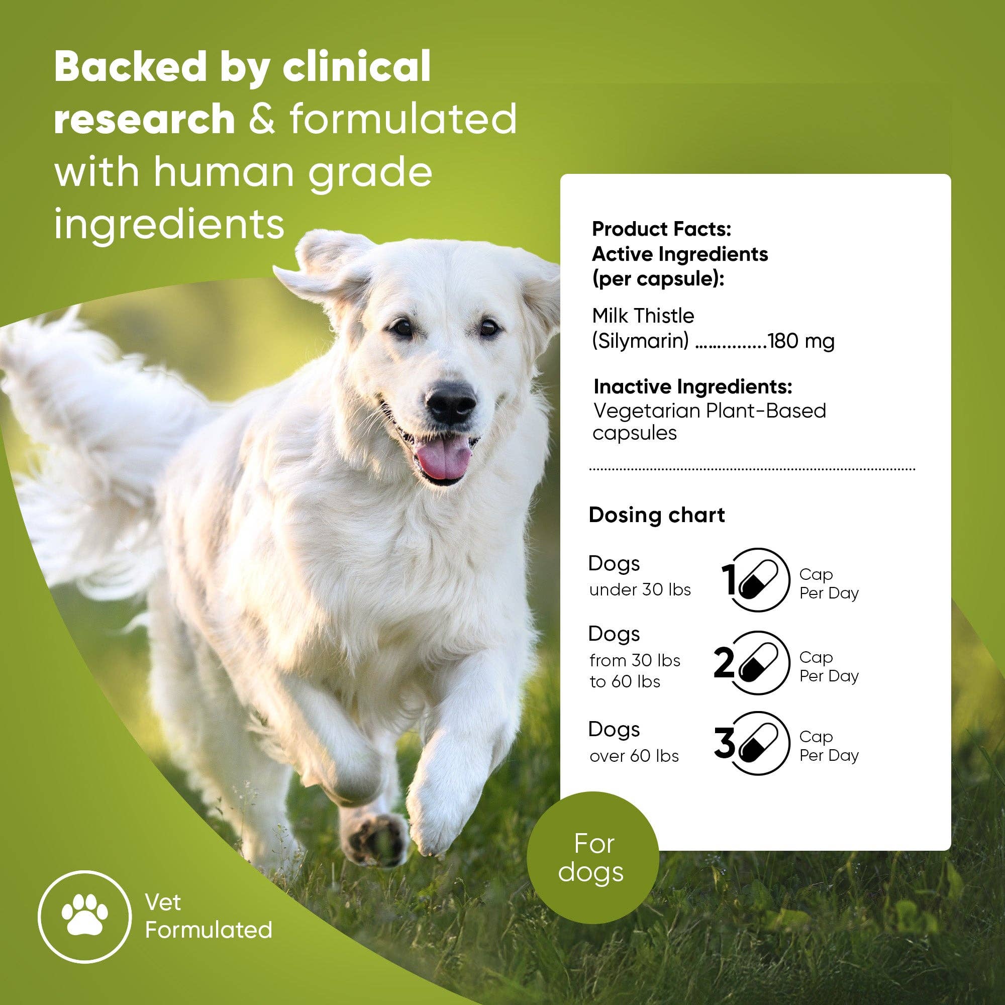 Rooted Owl® Natural Pet Health - Wholesale Pet Supplement - Dog - Liver Support1