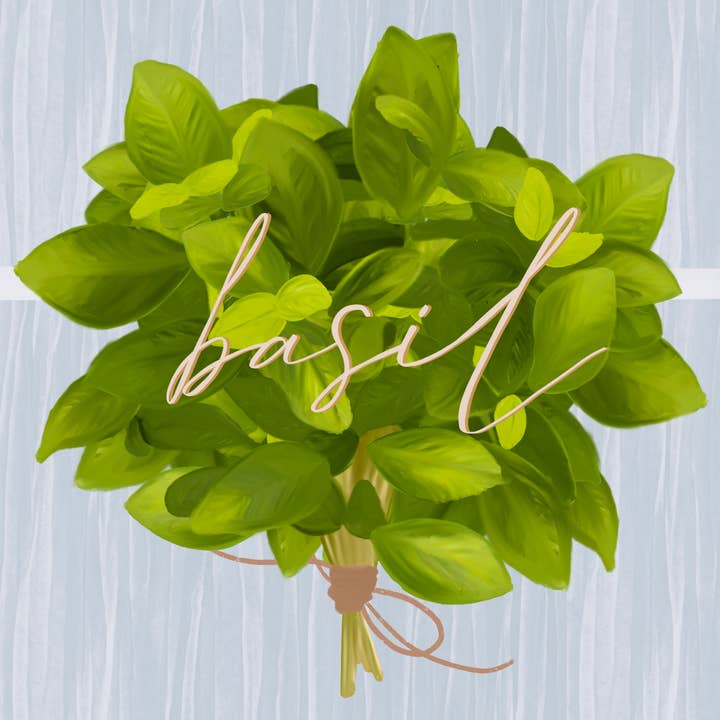 Kellio Studio - Venta al por mayor Pegatina - Pegatinas para plantas15