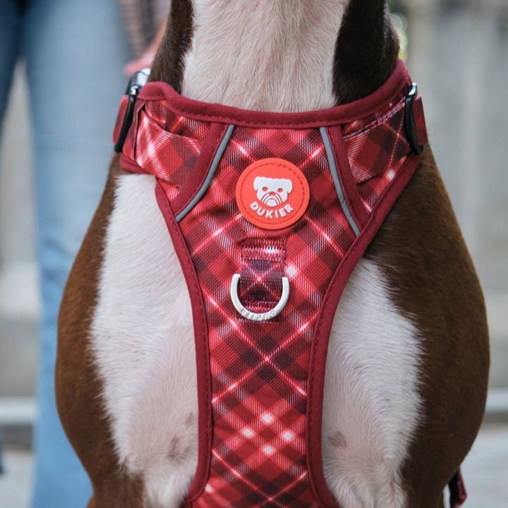 Dukier - Wholesale Pet harness – Dog - TARTAN RED DOG TRAIL HARNESS5
