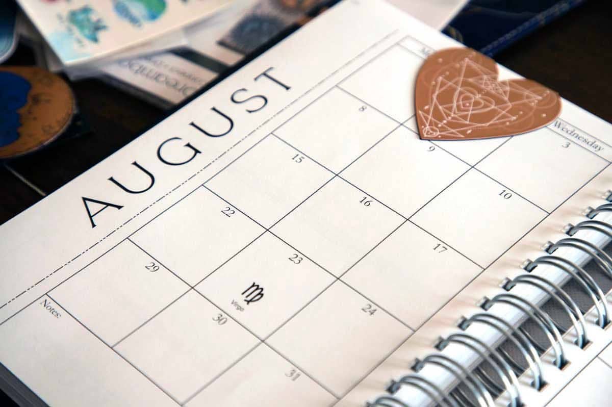 The Dragontree Apothecary - Wholesale Bookmark - Dragontree Magnetic Page Marker2