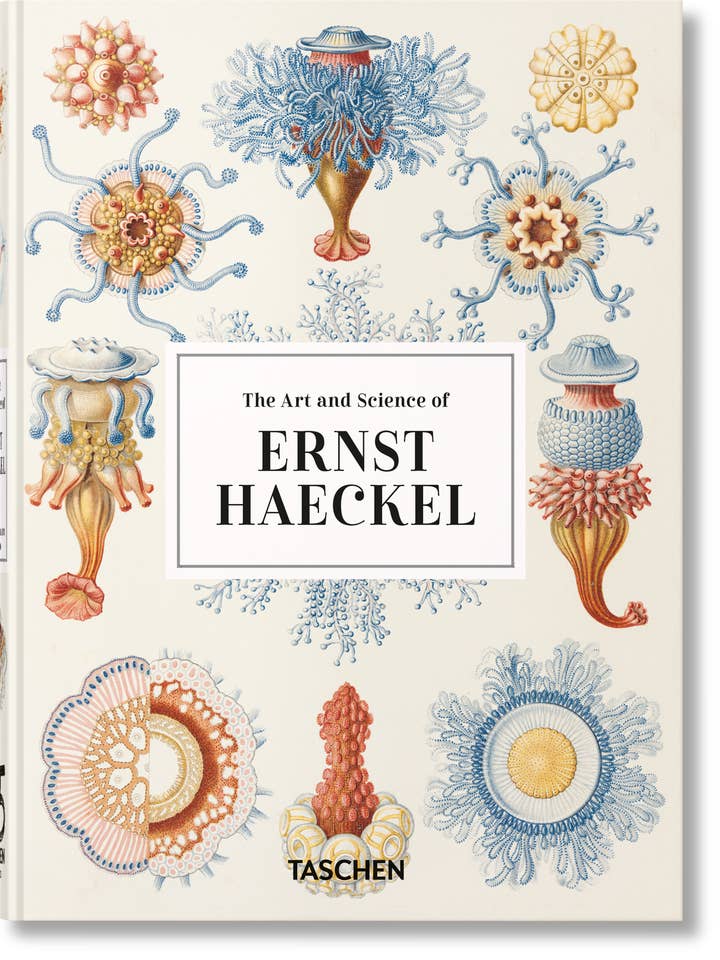 De kunst en wetenschap van Ernst Haeckel. 45e editie. (Engels) voor wholesale door TASCHEN Europe
