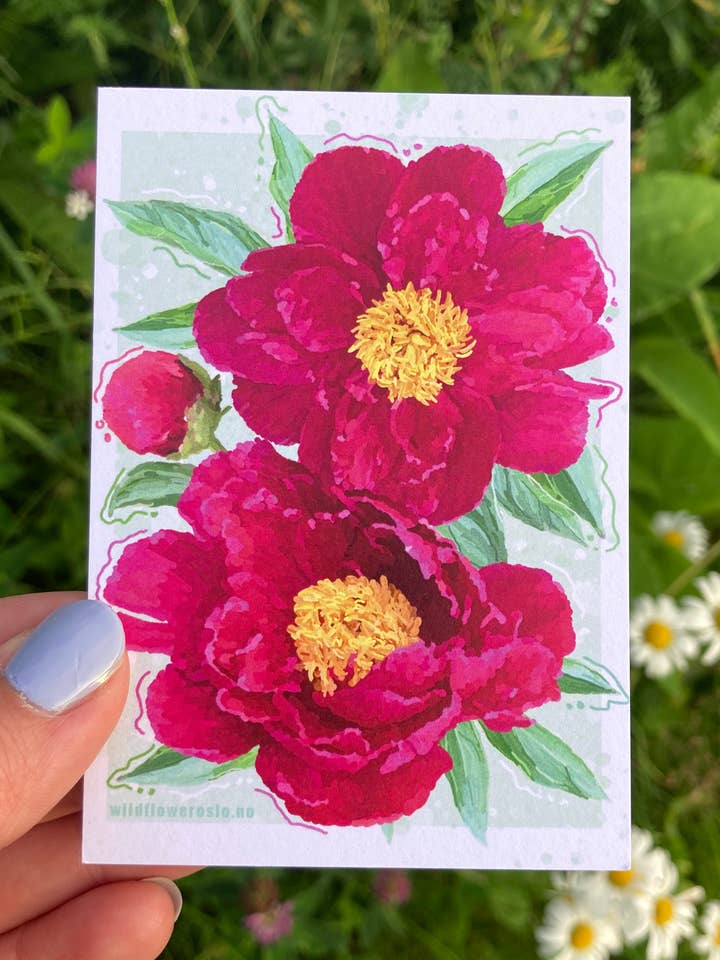 Vykort A7 # 0017 för wholesale av Wildflower Oslo