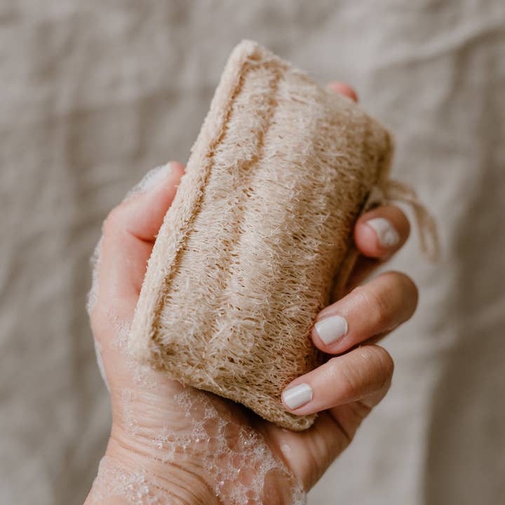 Eulenschnitt - Wholesale Cleaning Sponge - Set of 5 dishwashing brushes (pack of 6)4