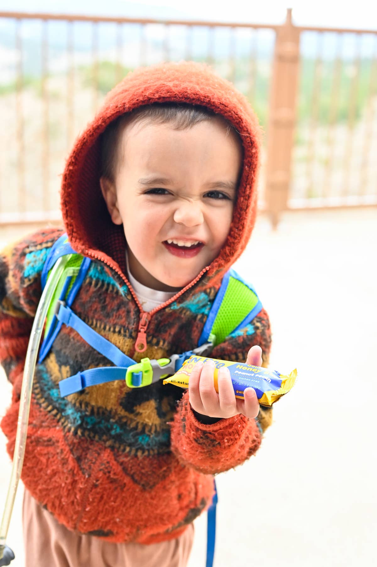 Honey Bunchie, LLC - Wholesale Snack Bar - Bon Bee Gourmet Honey Bar, Peanut Pecan (4-Packs)11