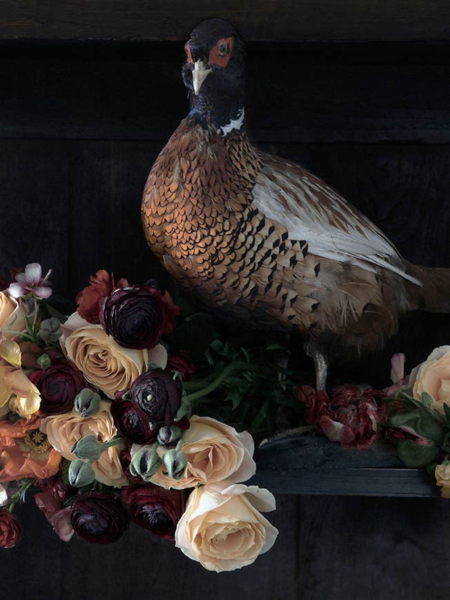 Querida Ruby para venta al por mayor de Love Warriors