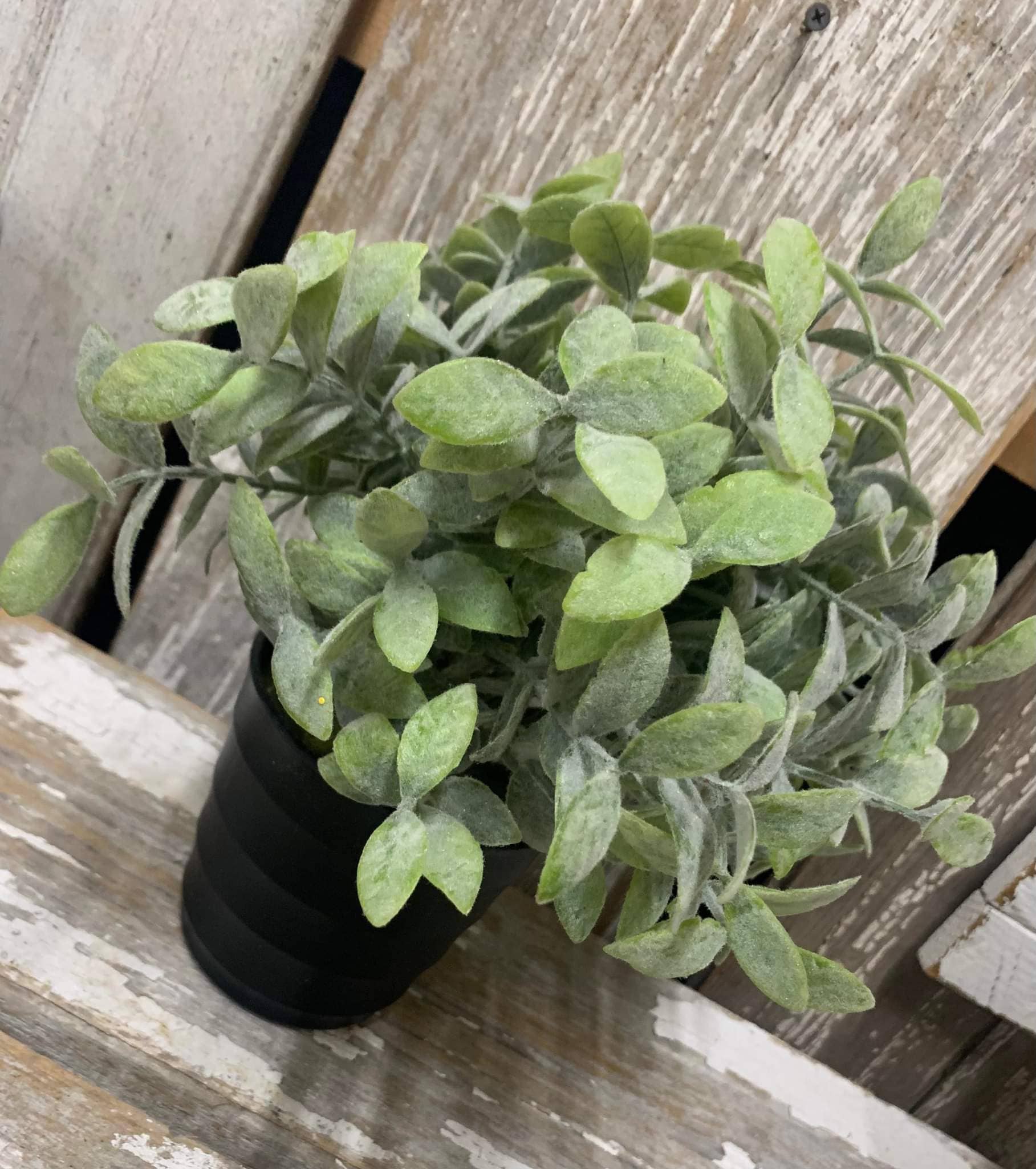 Wholesale Home Decor - Wholesale Plant Pot - Thyme Pot 11in2