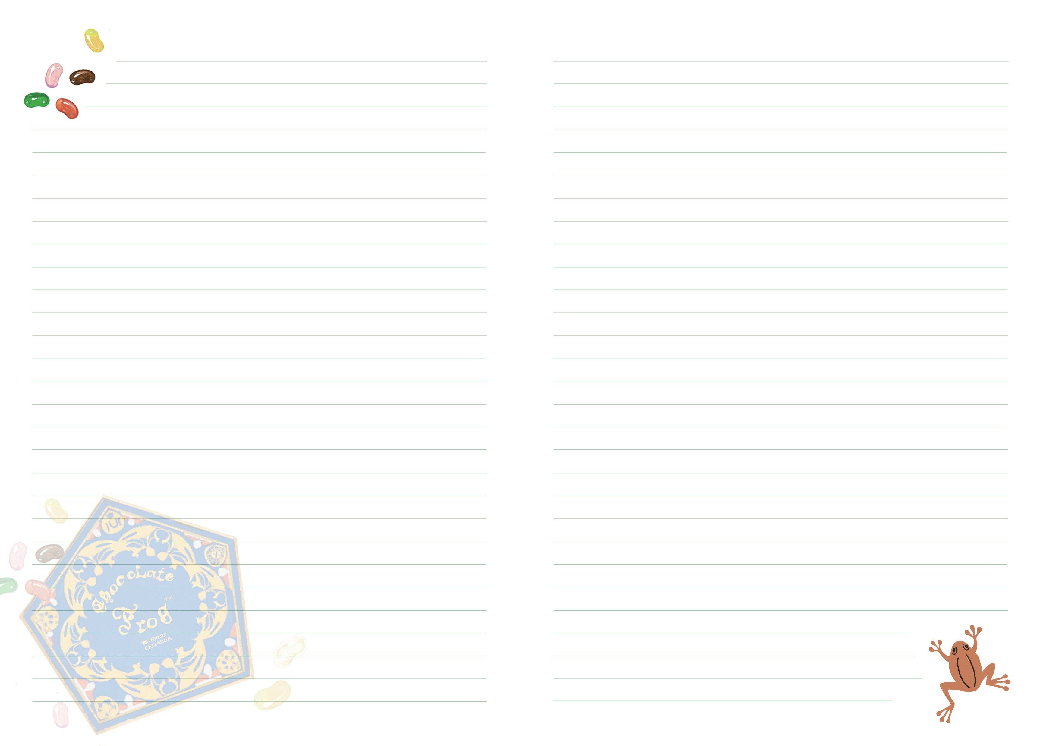 Insight Editions - #1 Pop Culture Publisher - Wholesale Journal/Diary - Harry Potter: Chocolate Frog Journal with Ribbon Charm 4