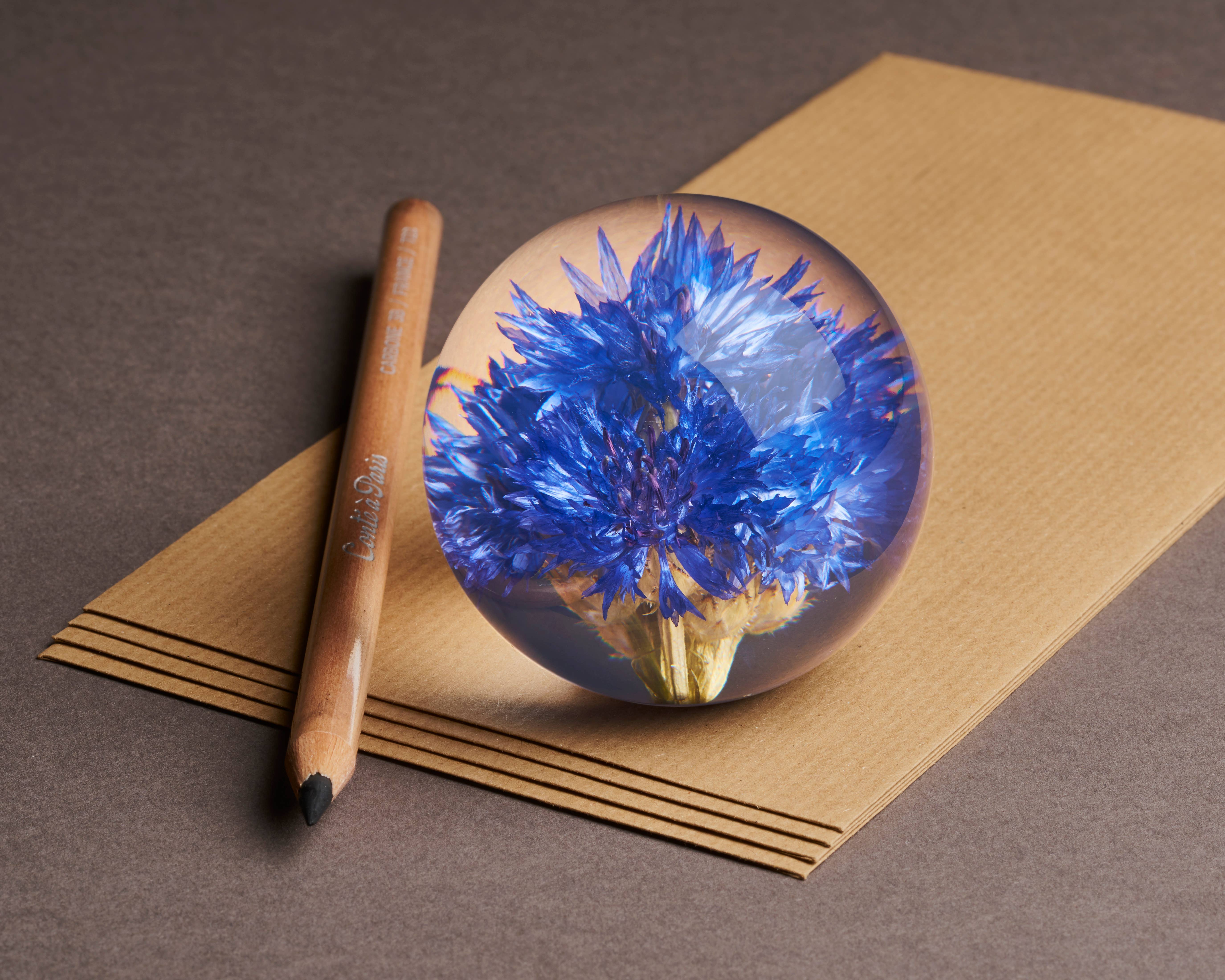 Hafod Grange Ltd - Wholesale Ornament - Cornflower Paperweight1
