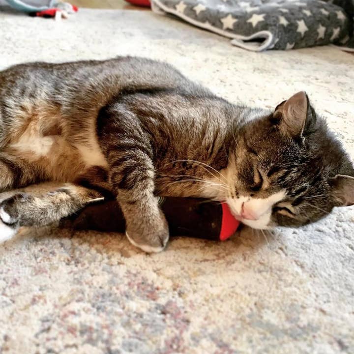 SmarterPaw | Meowijuana & Doggijuana – wholesale Pet toy – Cat – Catnip Cigar - Catnip & Valerian Root Filled Cat Toy7