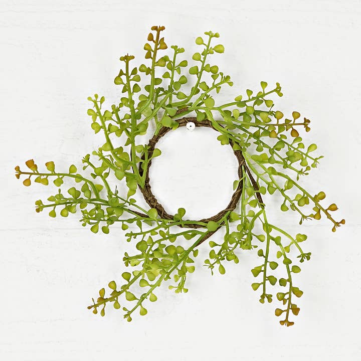 35175- 3.5in(9)Ring-Sage Angel Vine Plant for wholesale by Holiday Depot Inc.