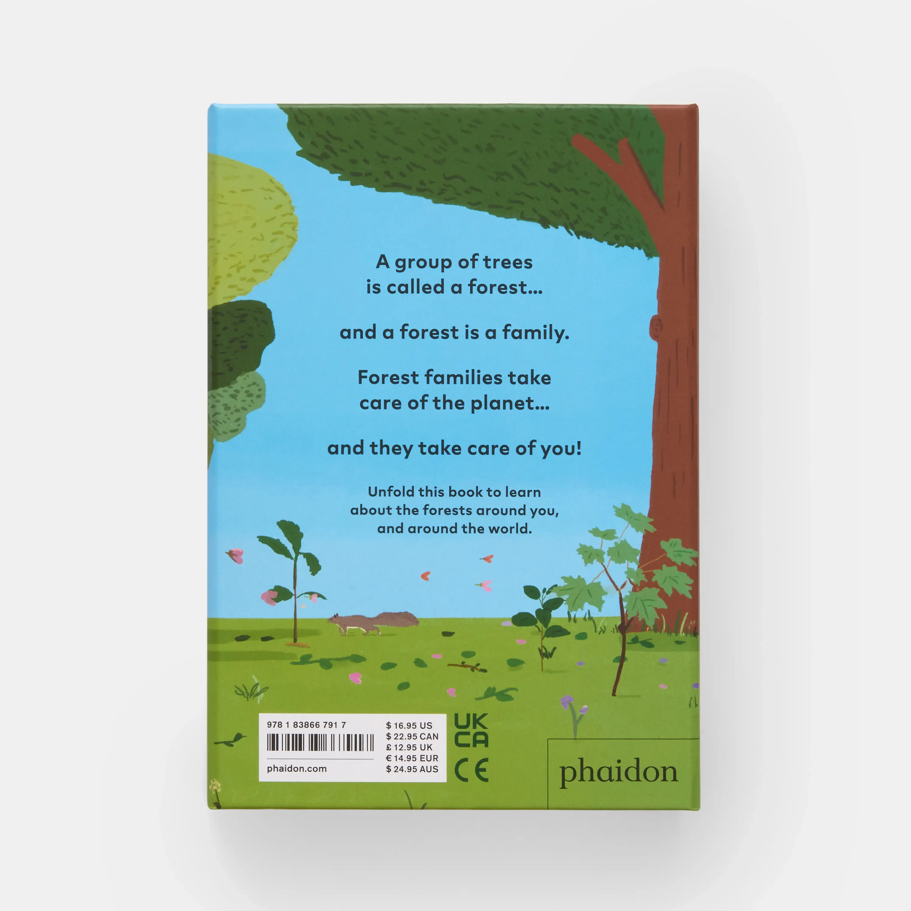 Phaidon Press - Vente Livre pour enfants de maternelle (de 3 à 5 ans) - Une famille d'arbres : mon premier livre sur les forêts6