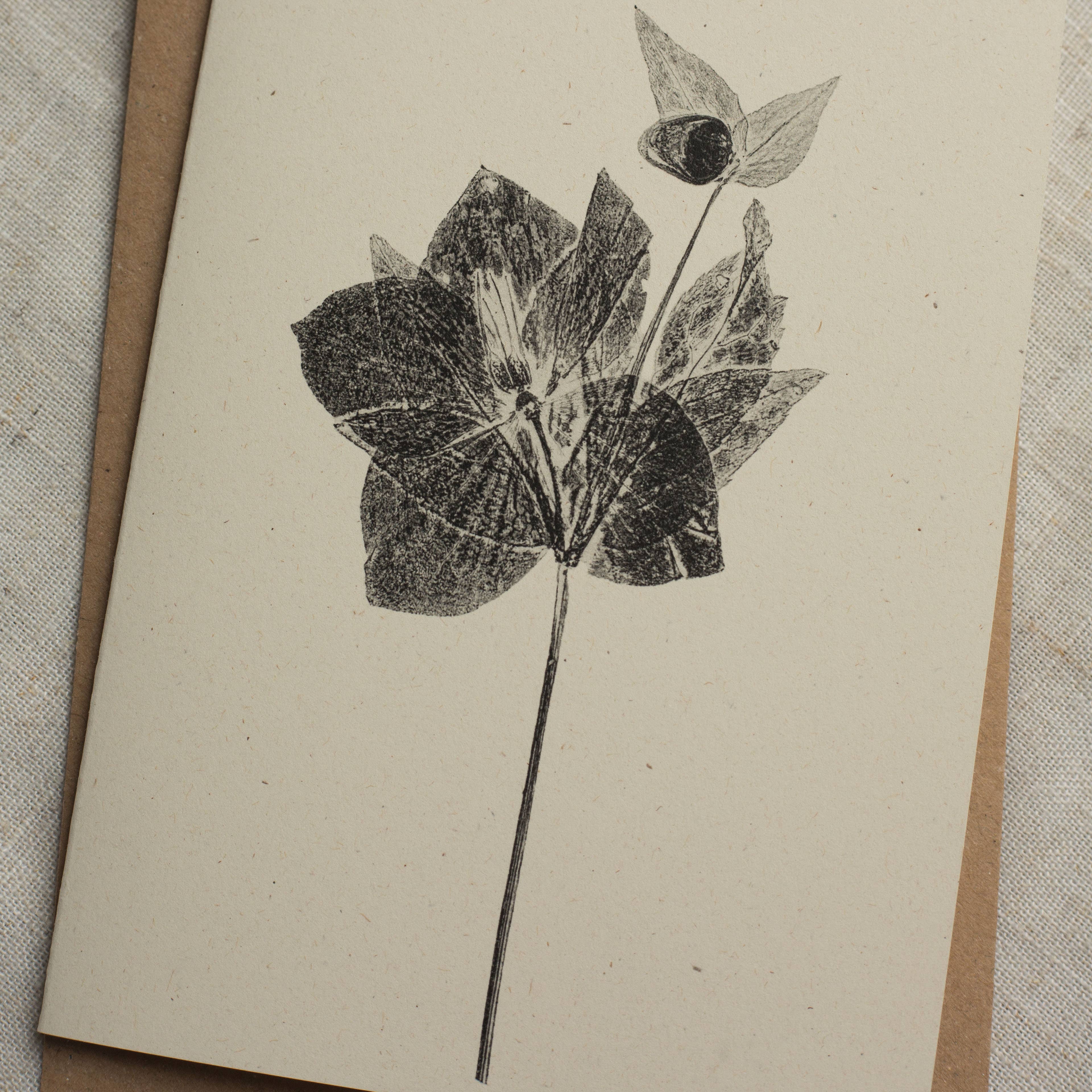 Alicia Breakspear - Wholesale Everyday Greeting Card - Hellebore Flower Greeting Card A6 Recycled Card 3