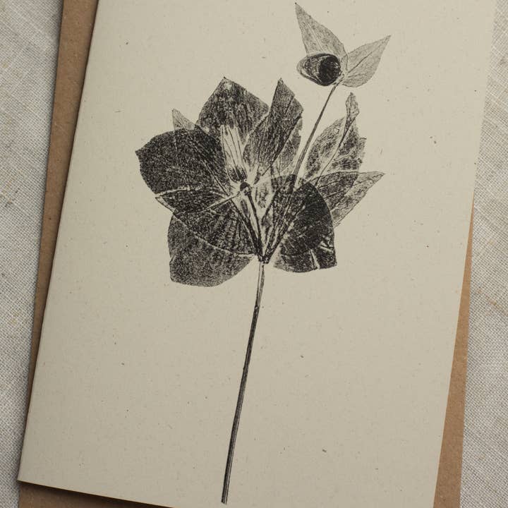 Alicia Breakspear - Wholesale Everyday Greeting Card - Hellebore Flower Greeting Card A6 Recycled Card 3