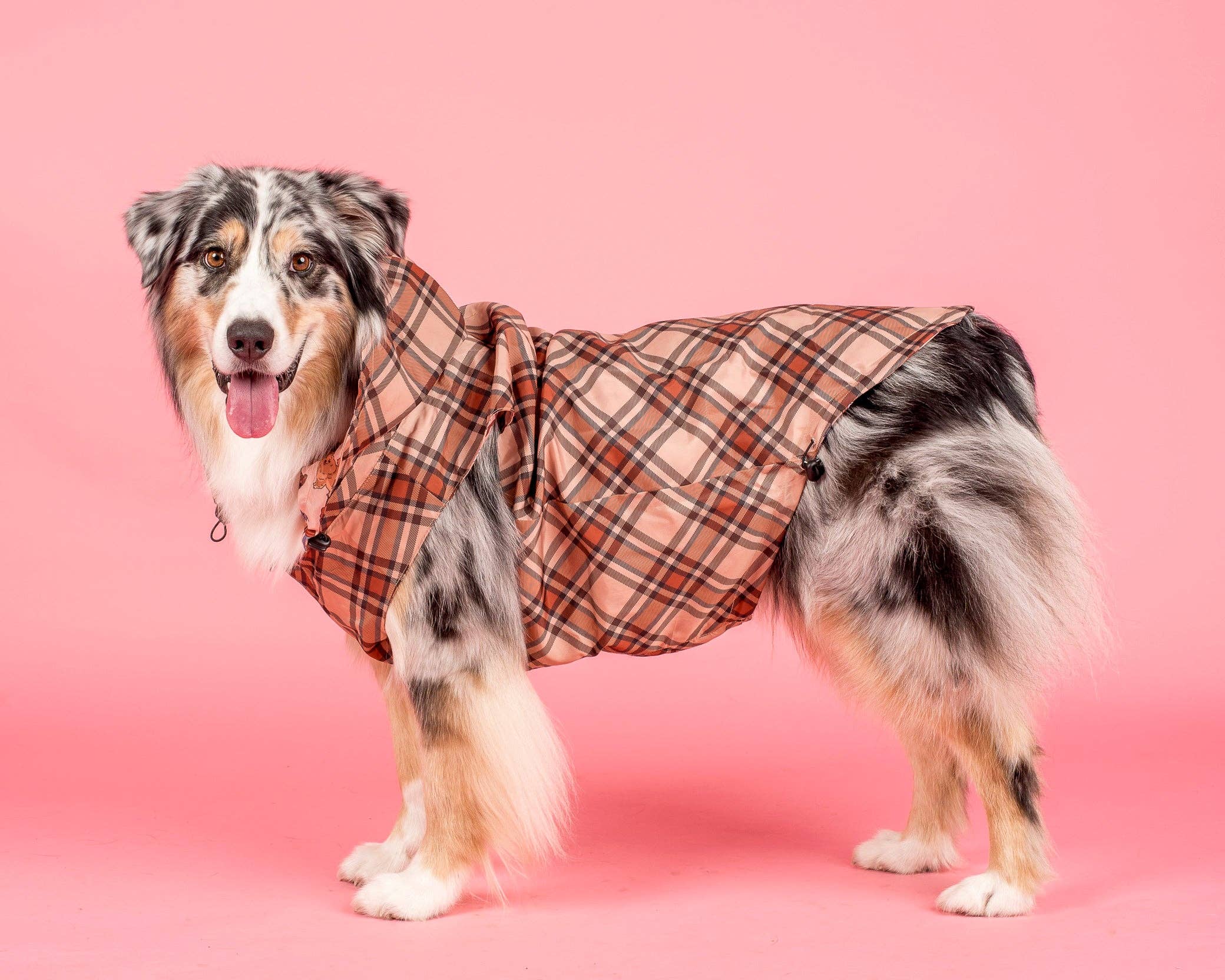Pablo & Co. Boutique - Wholesale Pet raincoat – Dog - Winter Pooches / Kensington: Raincoat1