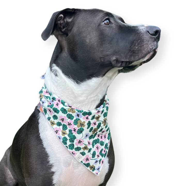 Dog Bandana for wholesale by Dana Herbert