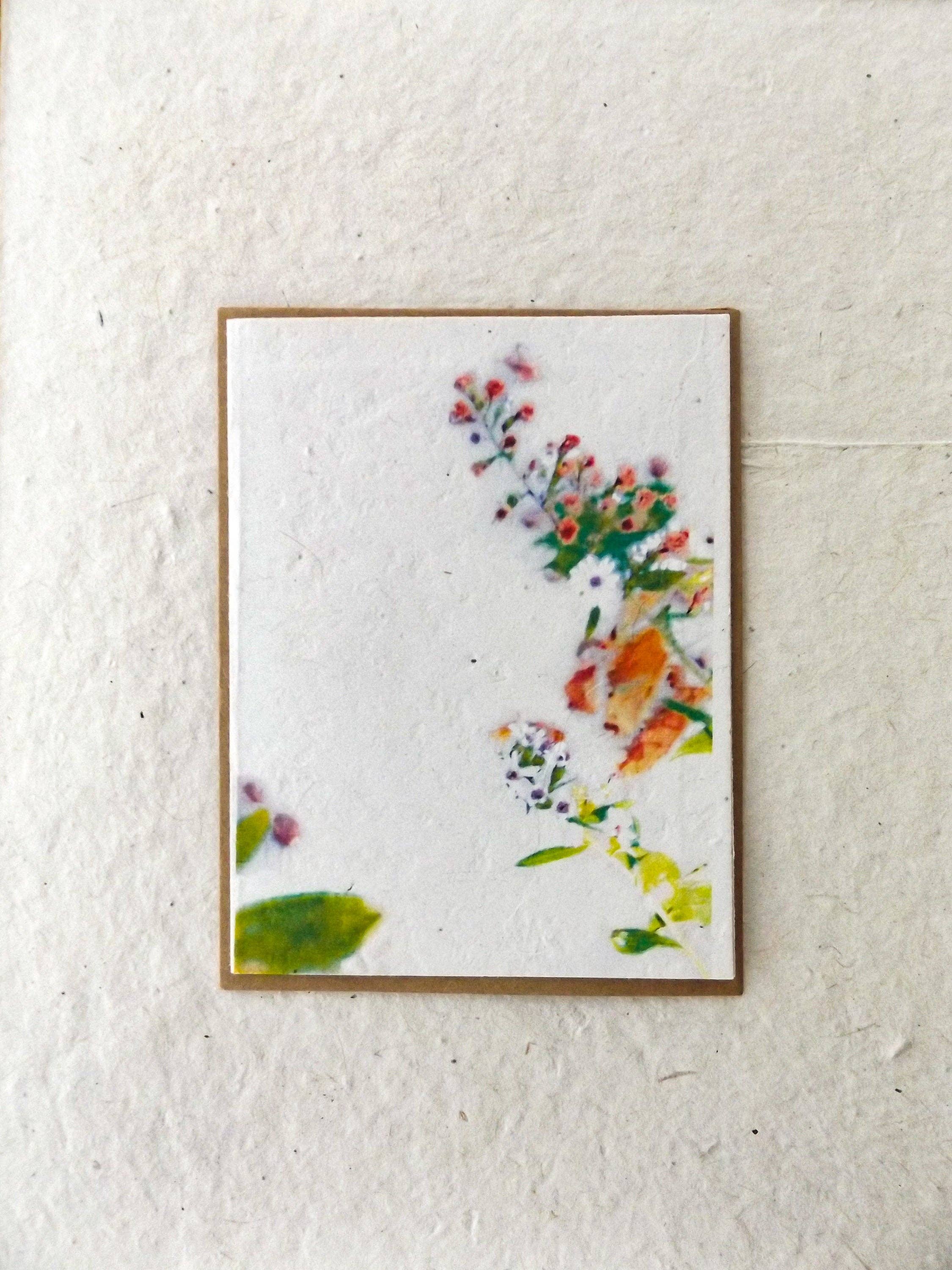 Marissa Kay Co - Wholesale Gewone wenskaart - Zaadpapierkaarten || Blanco of gepersonaliseerd inzetstuk7