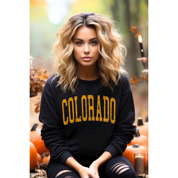 COLORADO VINTAGE GRAPHIC OVERSIZES SWEATSHIRTS for wholesale by Illustrated Society