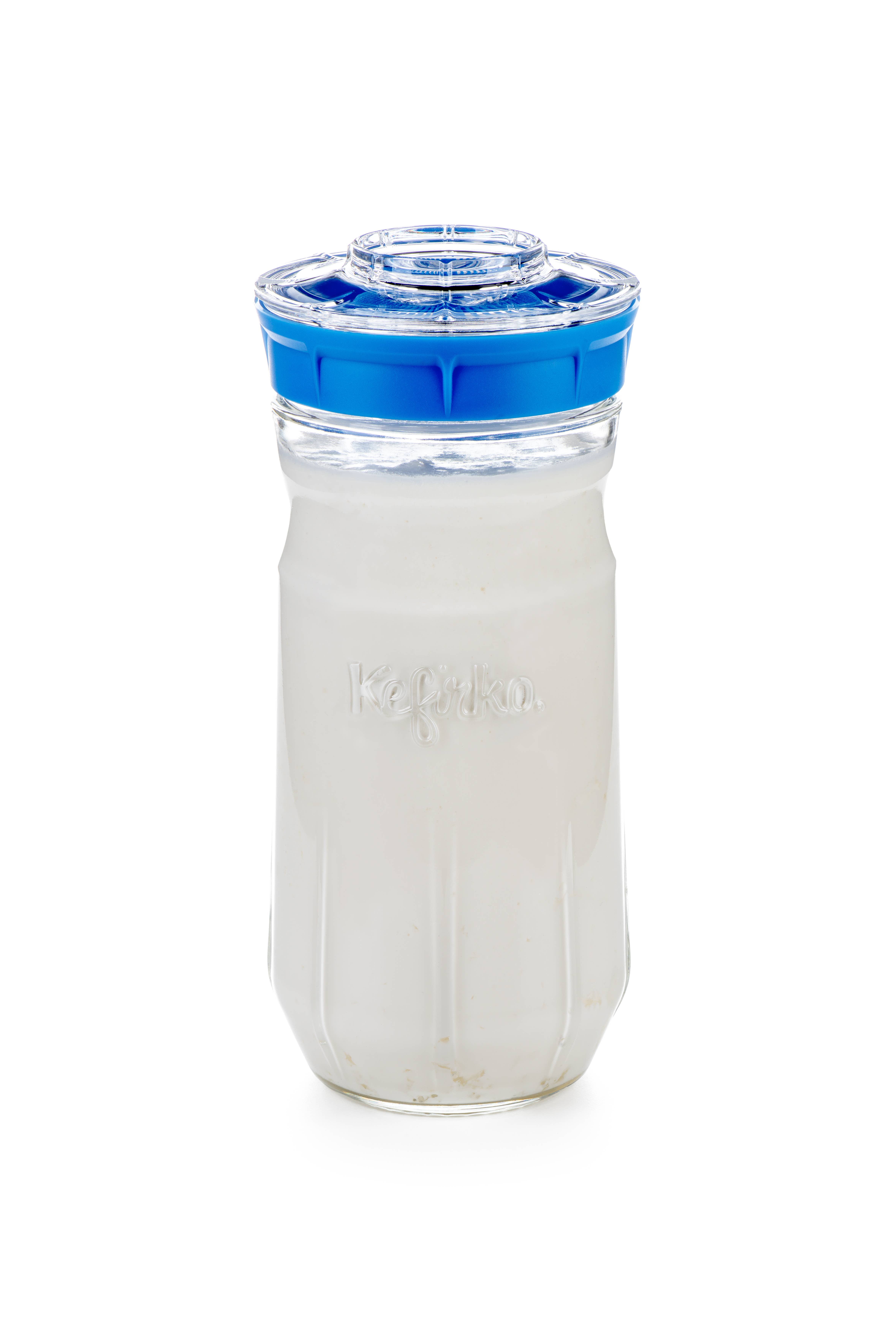 Kefirko – wholesale Jar – Kefirko Kefir Fermenter 3