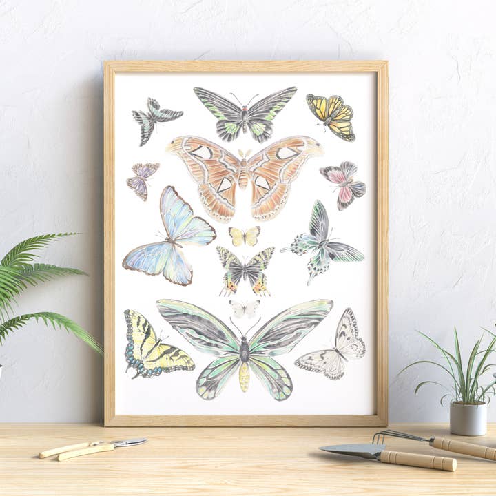 Butterflies Collection Vintage Inspired Art Print for wholesale by Erica Catherine Illustration