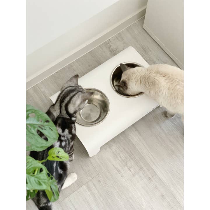 Labbvenn - Wholesale Pet Bowl - Cat/Dog - Rico Ffeder22