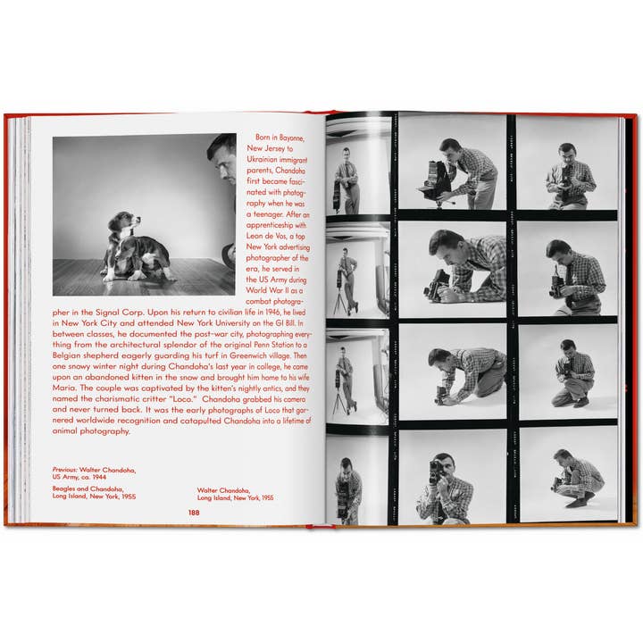 TASCHEN Europe - Wholesale Huisdieren - Walter Chandoha. Honden. Foto's 1941–1991 (Engels)25