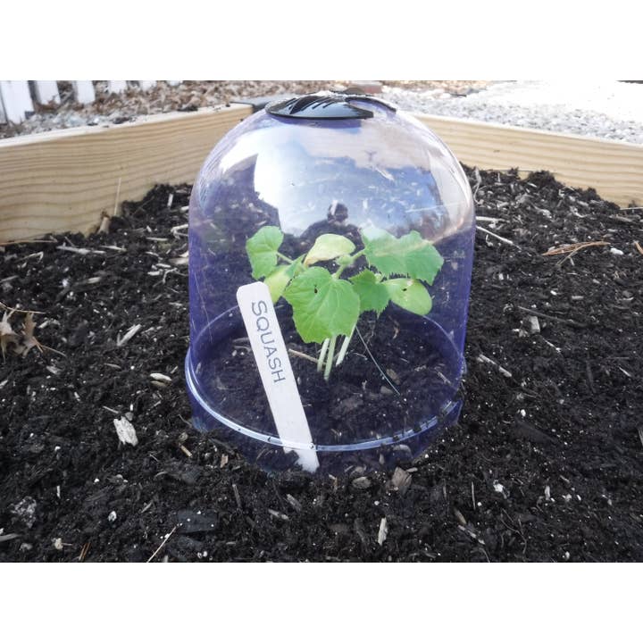 Gardinnovations - Wholesale Planting net/cover - 6-Pack Small Reusable Garden Cloches, Plant Covers, Mini Greenhouses, GrowAway Domes to Protect Seeds, Seedlings, Young Plants2