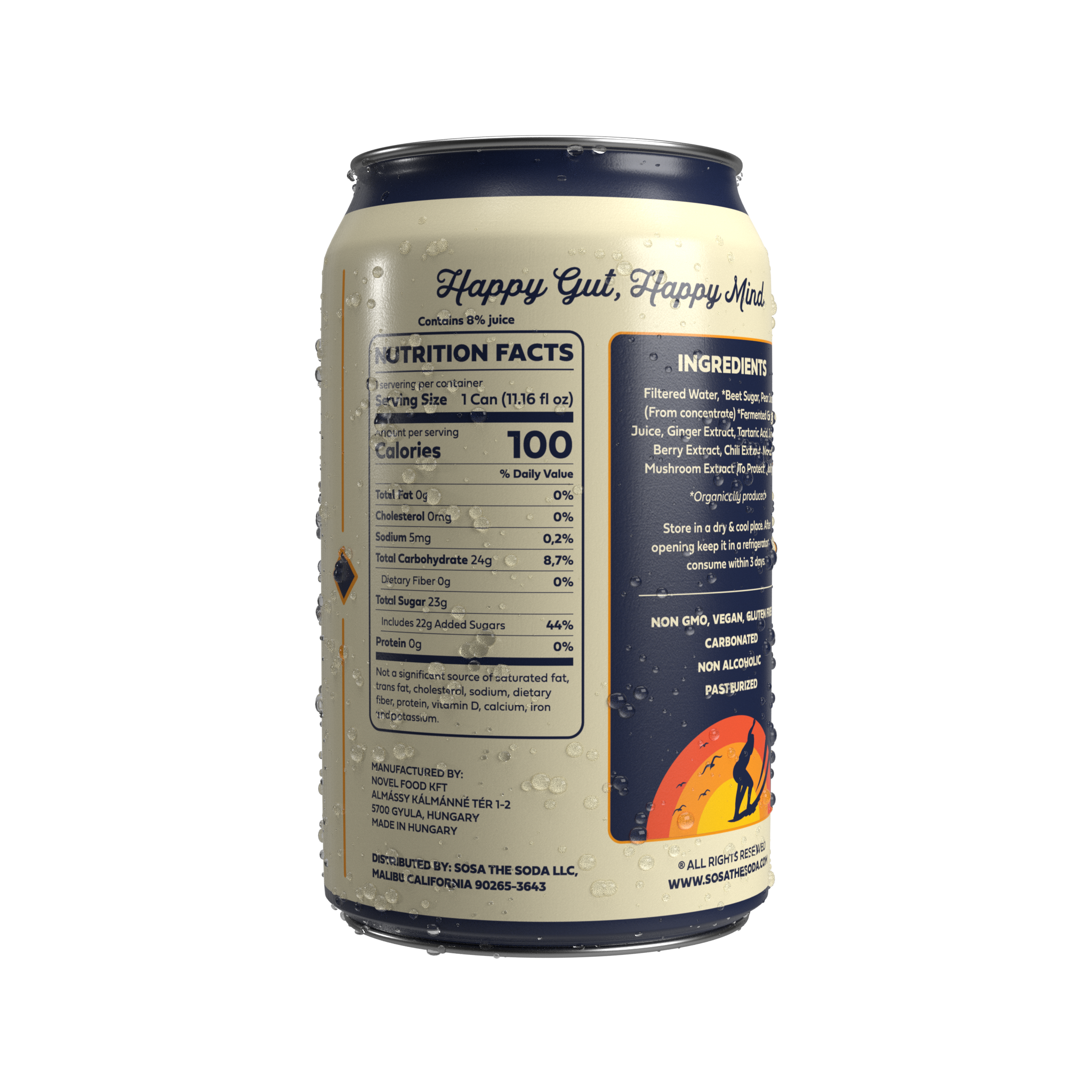 Sosa the Soda – wholesale Soda/kolsyrad dryck – Sosa the Soda Gingerbeer2