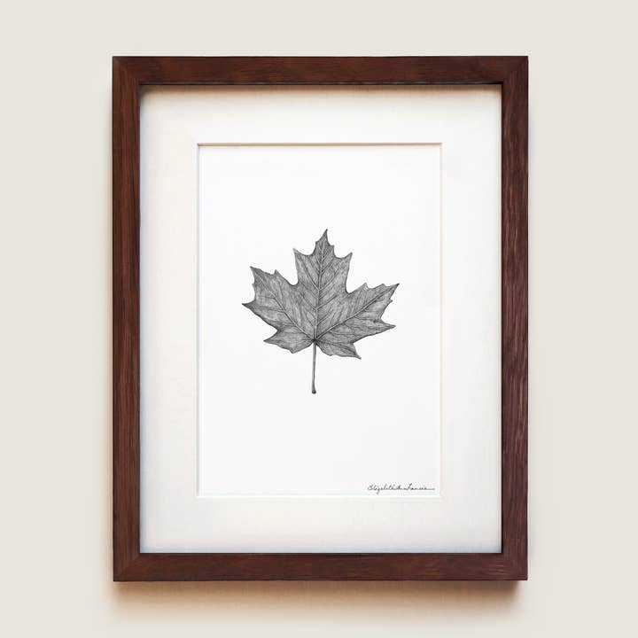 Sugar Maple Leaf | Fine Art Print for wholesale by ElizabethAnnFrancis