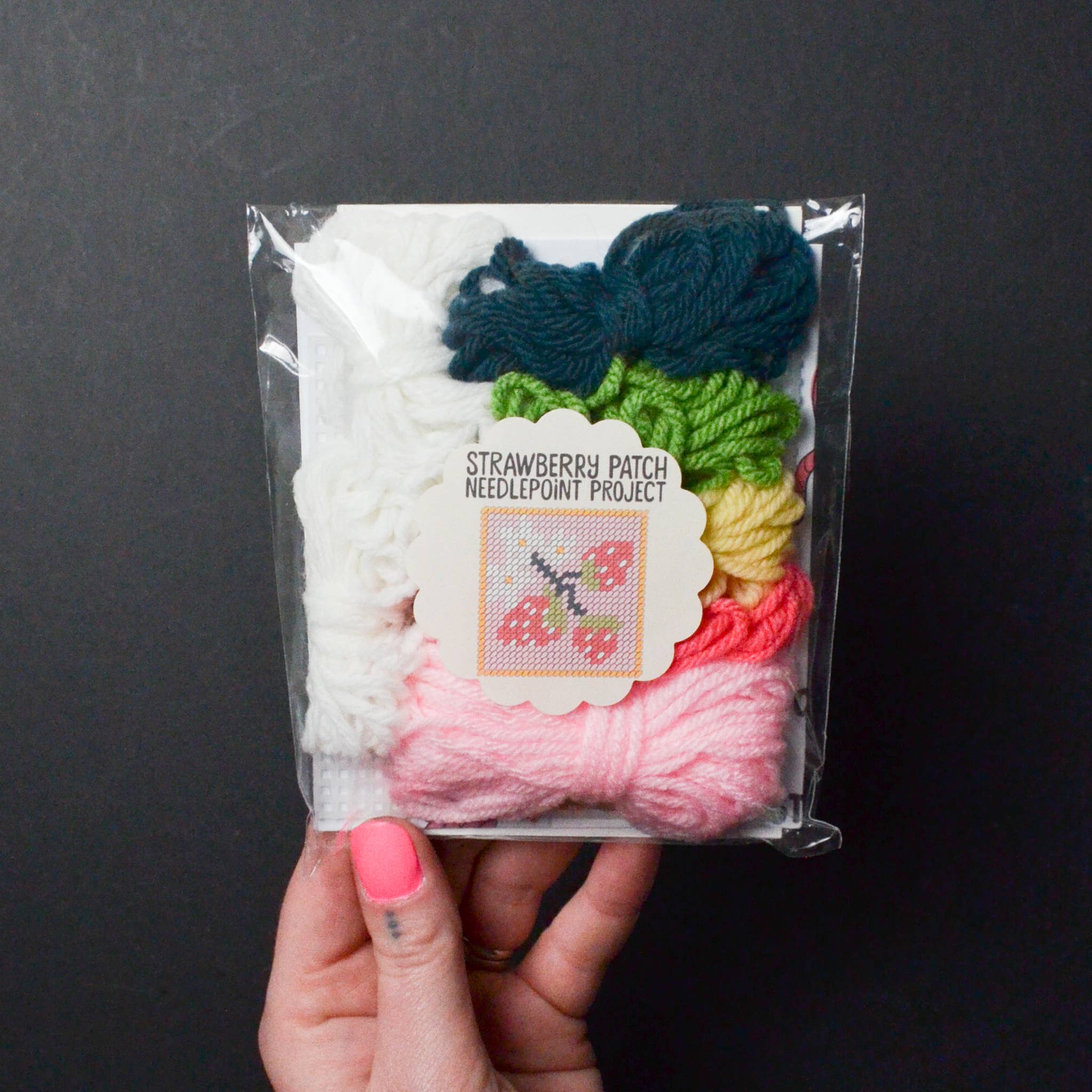 Make & Mend - Wholesale Embroidery/Cross Stitch Supplies - Strawberry Patch Needlepoint Kit4