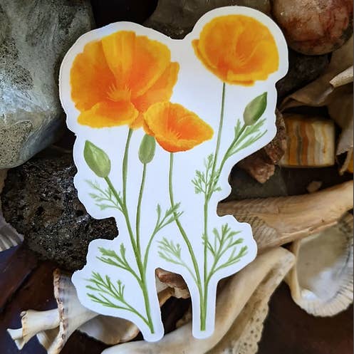 Californische klaprozen vinylsticker voor wholesale door LA Is Not A Desert