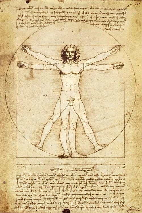 Scorpio Posters - Wholesale Poster - Da Vinci - Vitruvian Man Poster - 24"x36"0
