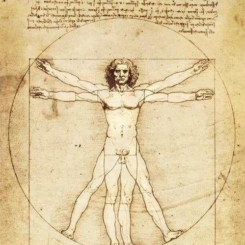 Scorpio Posters - Wholesale Poster - Da Vinci - Vitruvian Man Poster - 24"x36"0