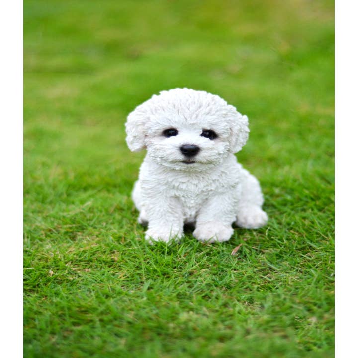 Hi-Line Gift Ltd. - Wholesale Outdoor Ornament/Decor - Bichon Frise Puppy