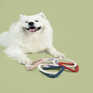 Dog Toys - Chewy Vuitton, wht Dog Toy by Haute India