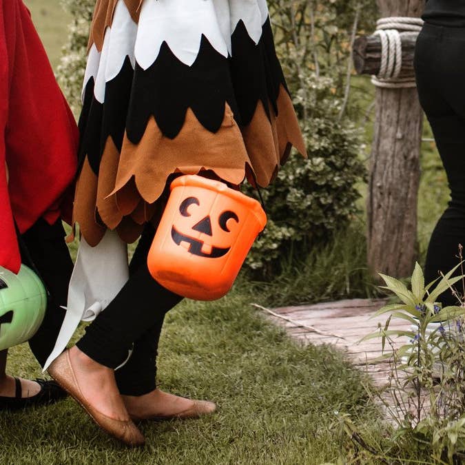 Sister Bees LLC - Wholesale Honey - TRICK OR TREAT-Honey Sticks with Display Jar3