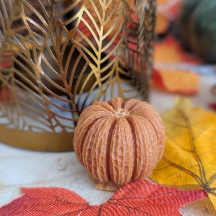 Les bougies Burgondes - Wholesale Wax Melt - Pumpkin fondant2