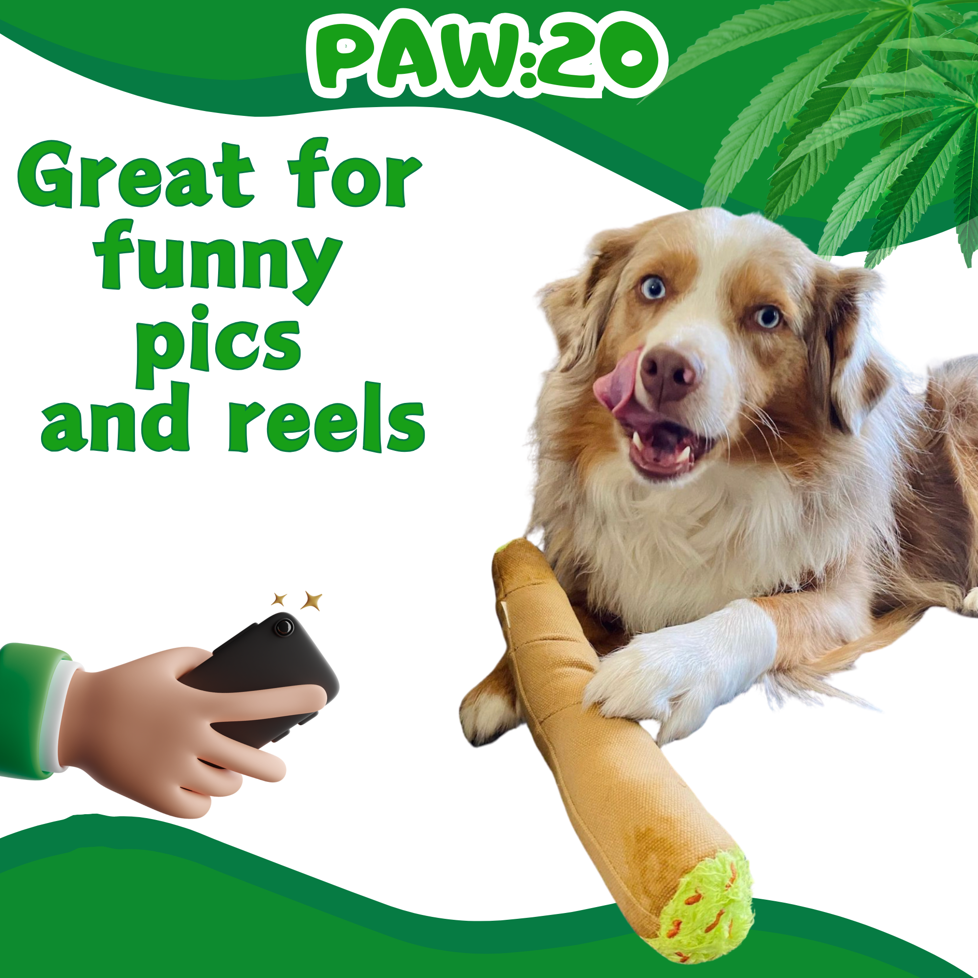 PAW:20 - Wholesale Pet Plush Toy - Dog - B the Blunt, Stuffed Parody Squeaker Dog Toy3