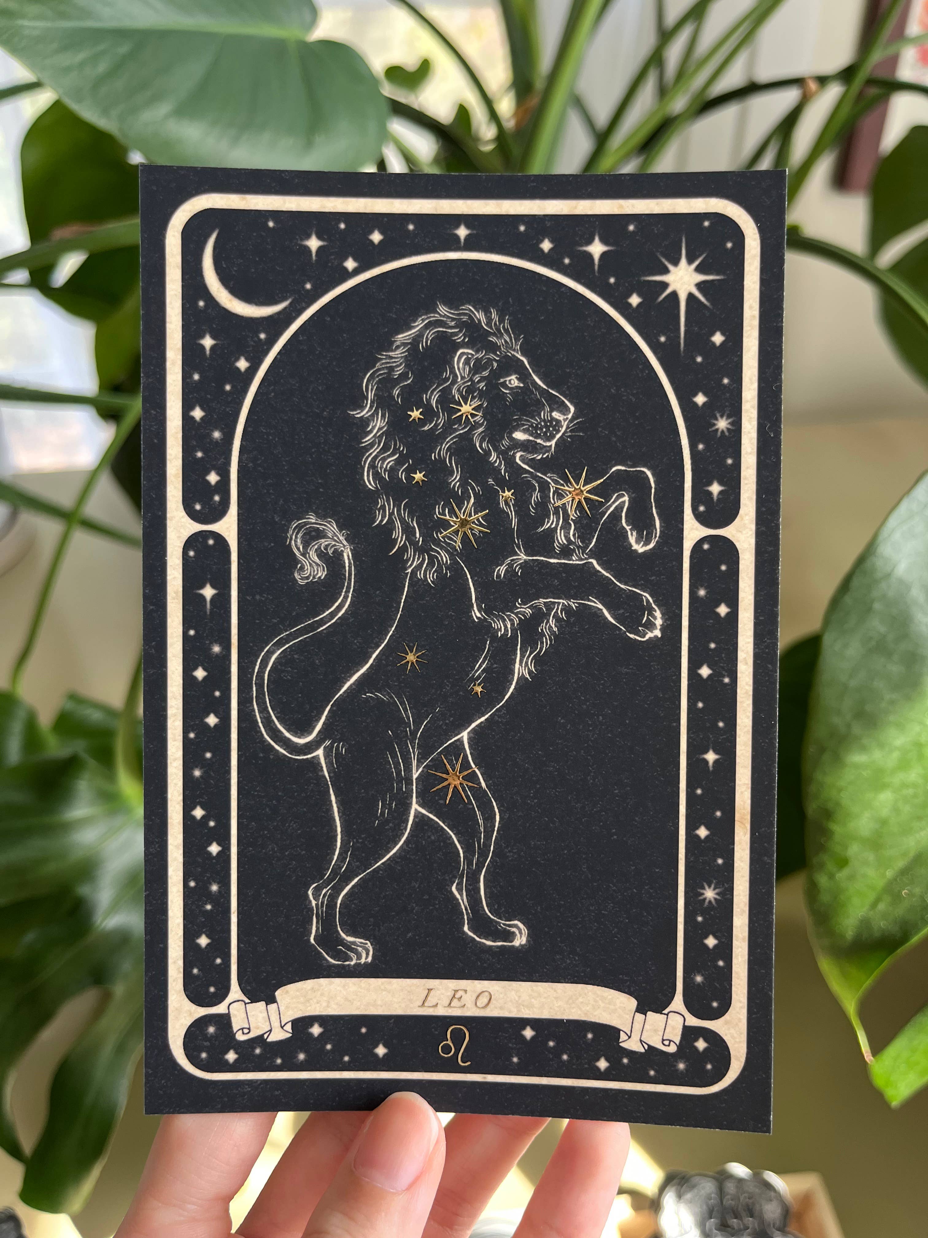 Lauren Noel Studio - Wholesale Postcard - Zodiac Gold Foil Postcard7