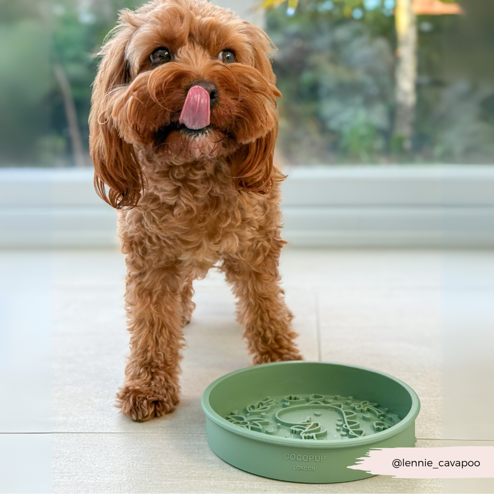 Cocopup London - Wholesale Pet Bowl - Cat/Dog - Silicone Slow Feed Dog Bowl - Dinopaws8