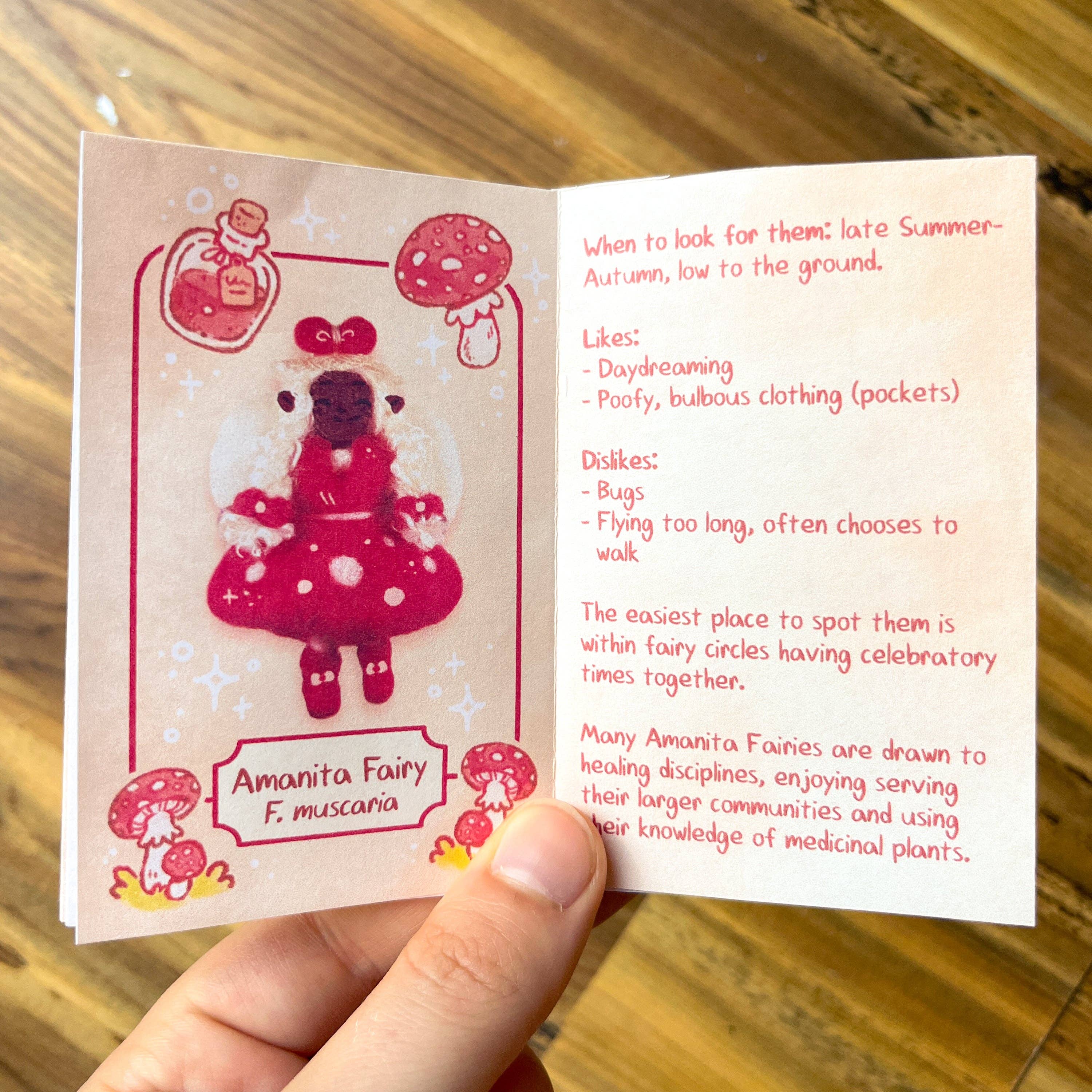 Rowan Kingsbury - Wholesale Reference Book - Farmer Fairies Summer 2023 Zine3