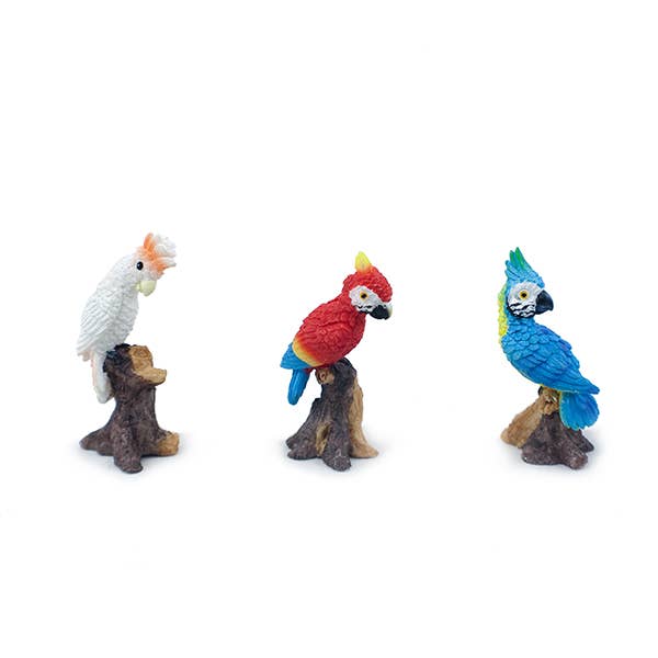 Mini Parrots for wholesale by Land & Sea