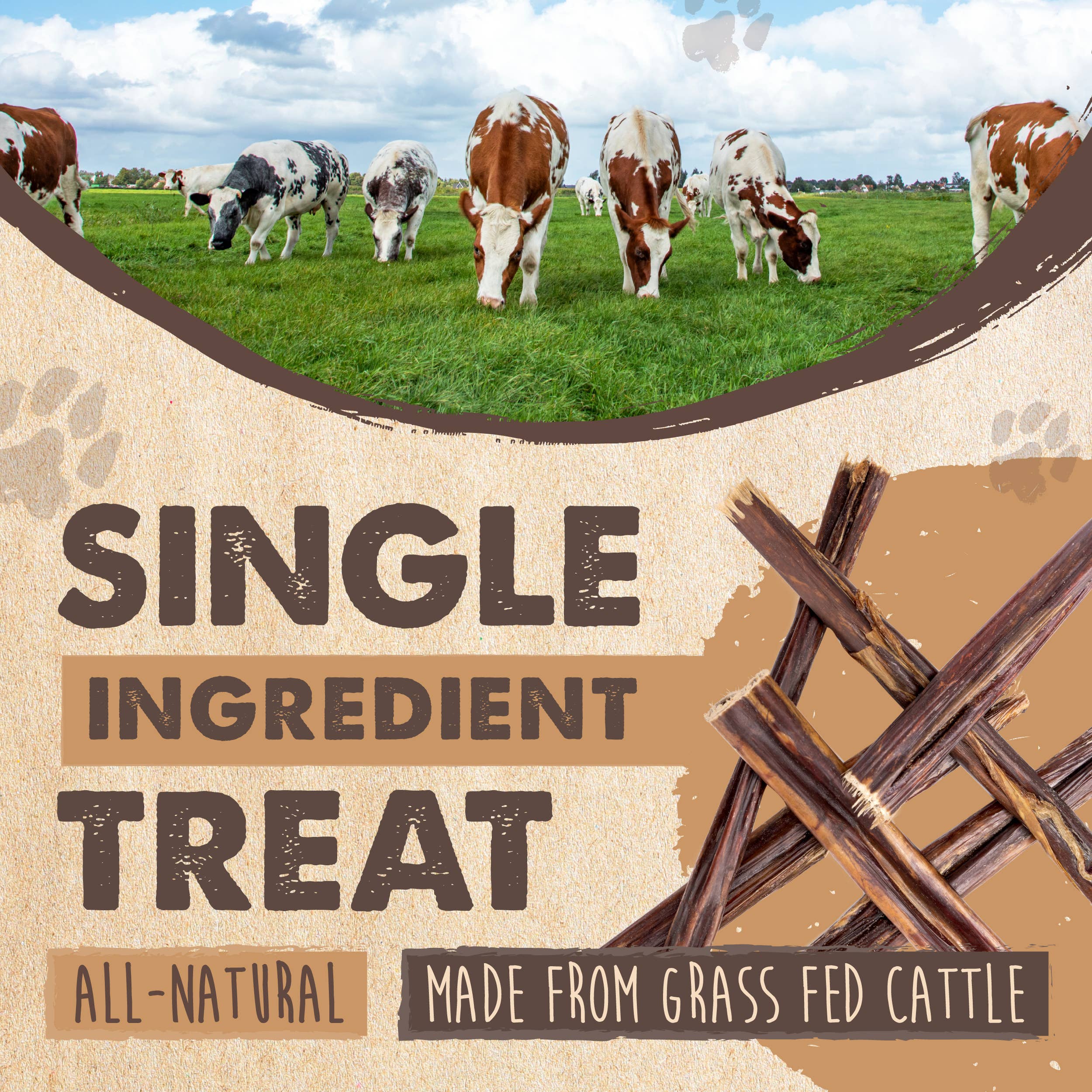 Mighty Paw - Wholesale Pet Treats - Dog - Beef Gullet Chews (6" - 30 Pack)4