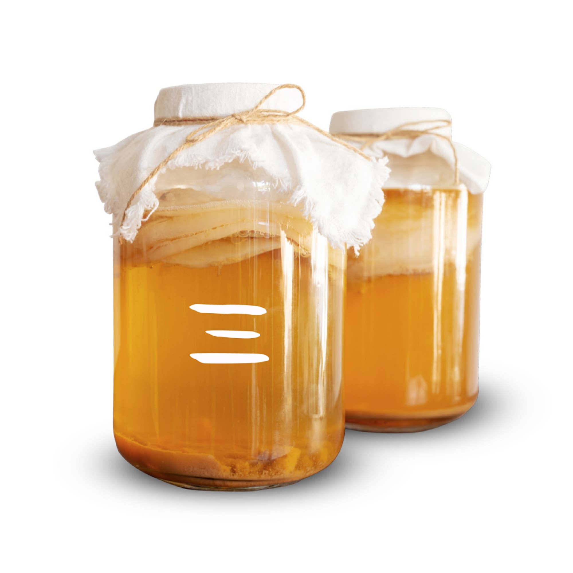 Boo Chi Kombucha – wholesale DIY food kit – Certified Organic SCOBY, Starter Culture & Instructions